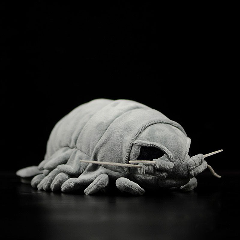 Giant isopod plush, close-up of head and antennae