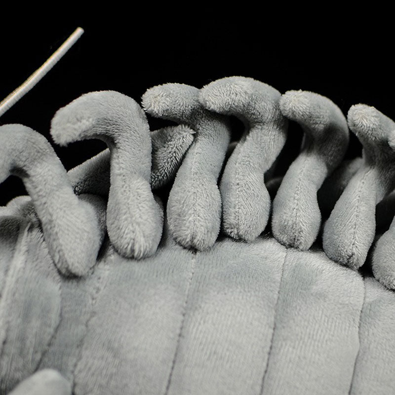 Giant isopod plush, segmented shell from the back