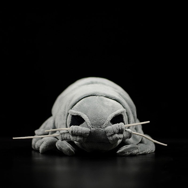 Giant isopod plush, front view on black background