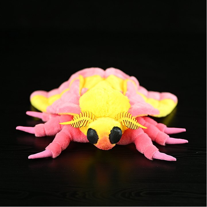 Rosy maple moth plush, feathered antennae