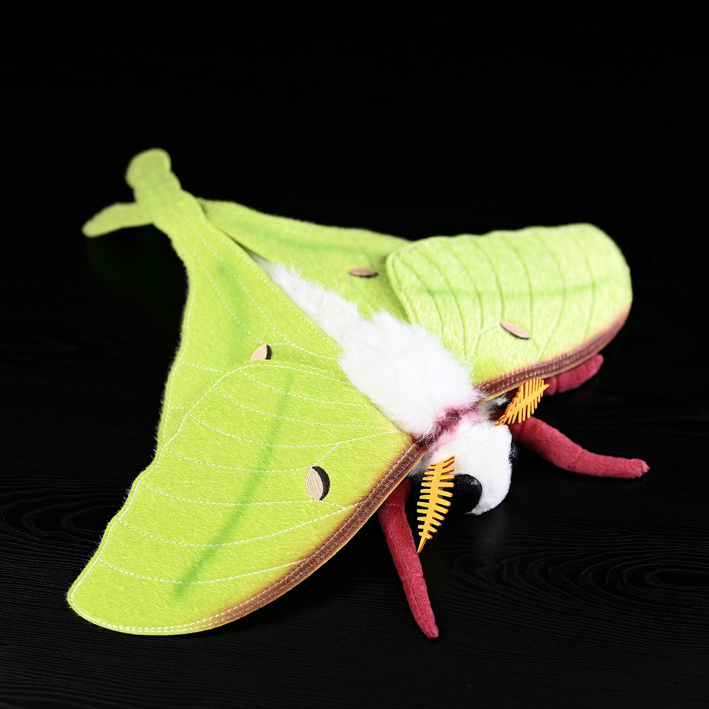 Green silkmoth plush with pale green wings