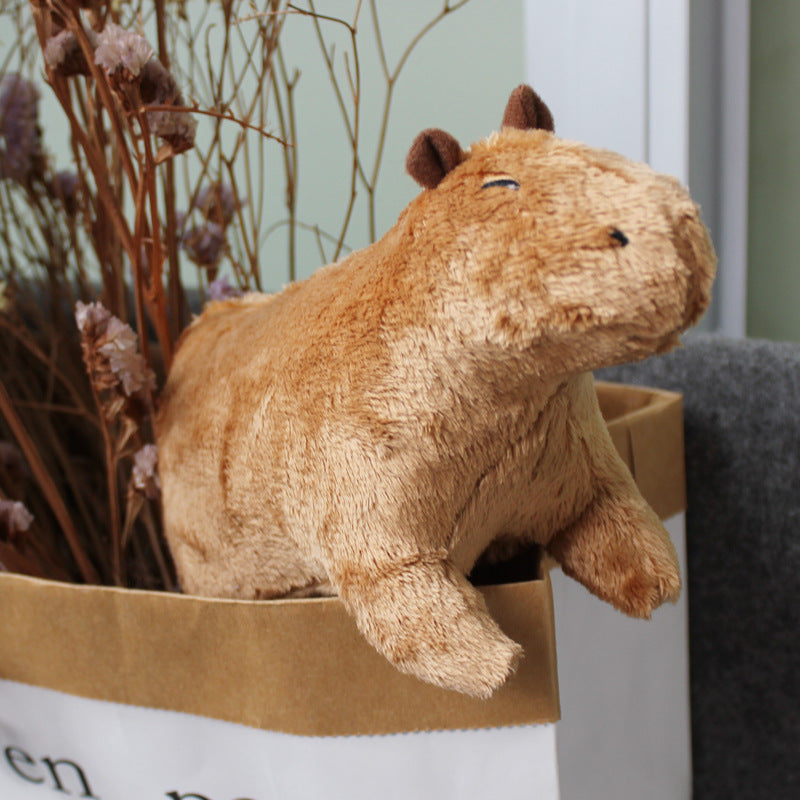 Capybara plush, close-up of face