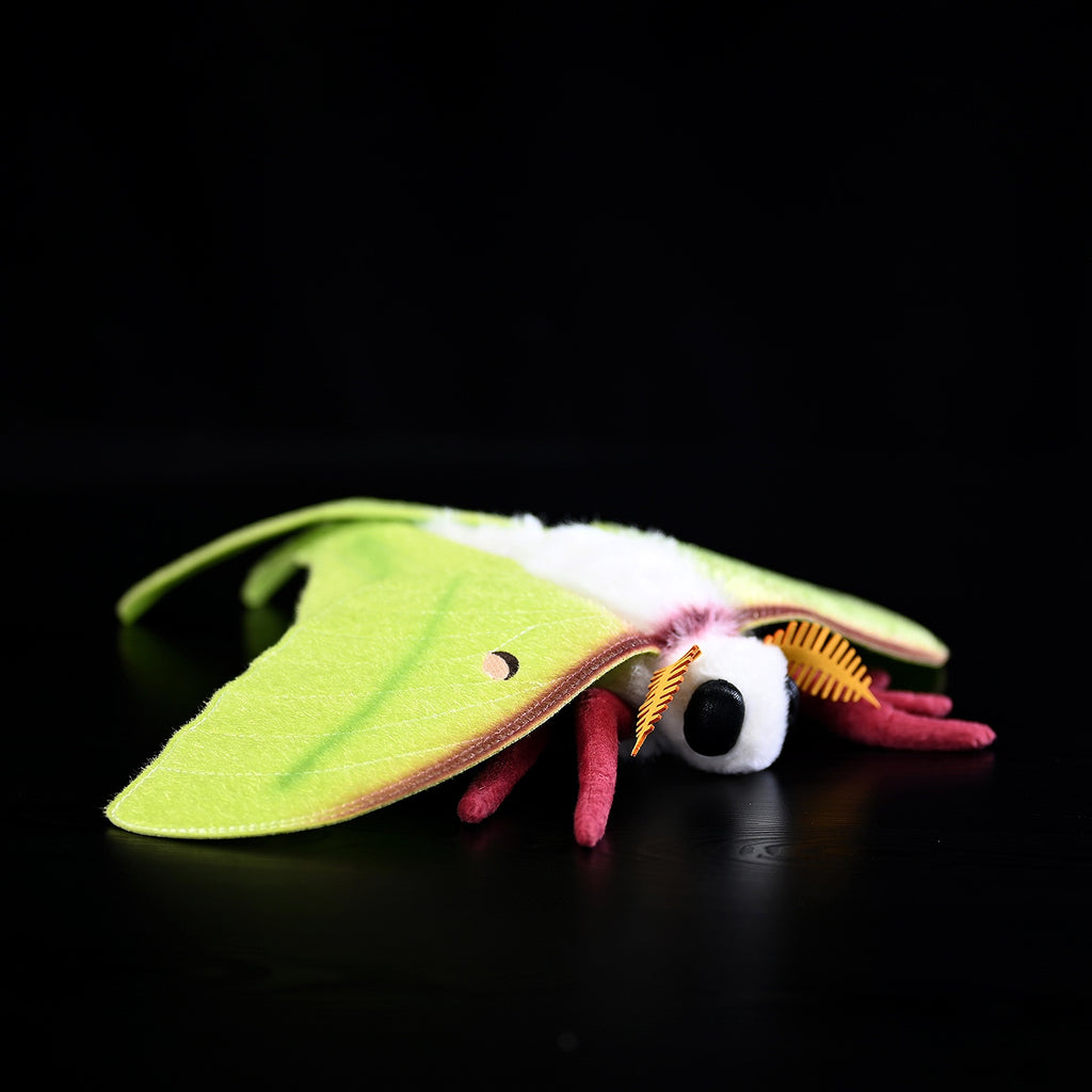 Green silkmoth plush, white furry collar