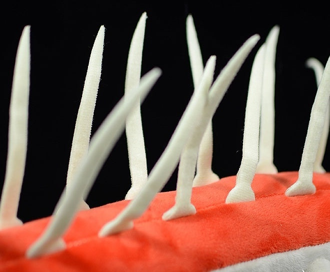 Hallucigenia plush, close-up of head