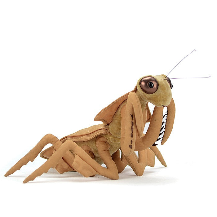 Praying mantis plush, from above