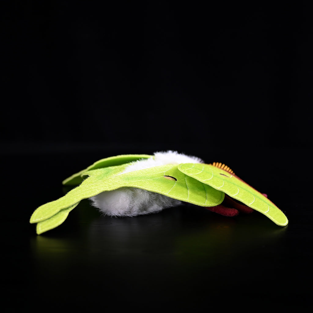 Green silkmoth plush, detail
