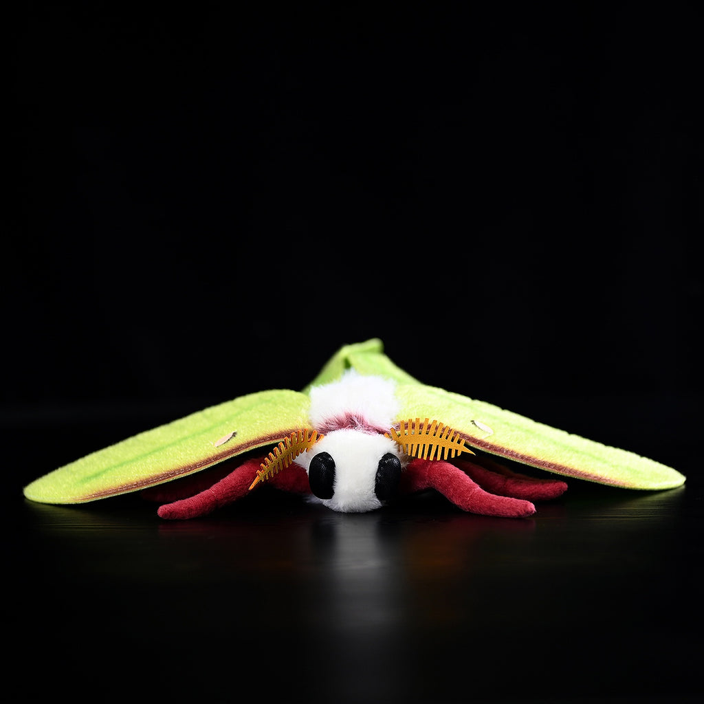 Green silkmoth plush, wings spread